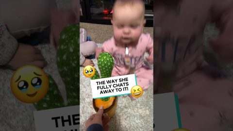 Baby Chats to Cactus Toy || ViralHog