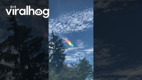 Brilliant Fire Rainbow Spotted Near Kingston, Ontario || ViralHog