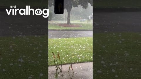 Large Hail Chunks Fall In Glennville, Georgia || ViralHog