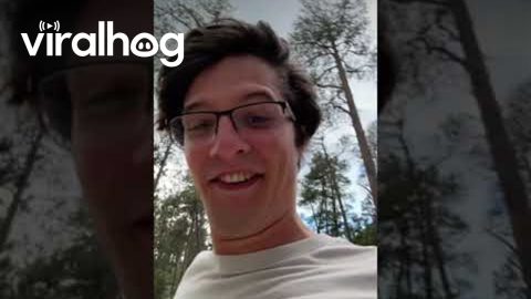 Guy Narrowly Avoids Falling Tree Near Devils Tower || ViralHog