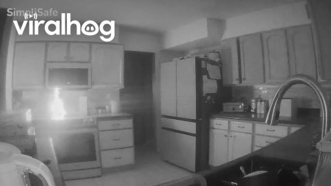 Dog Starts Kitchen Fire In Colorado Springs || ViralHog
