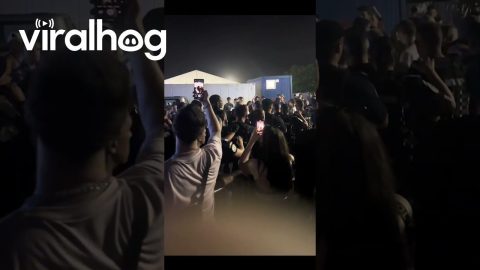 Wiz Khalifa Arrested at a Romanian Music Festival || ViralHog