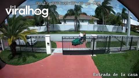 Trash Bin Got The Best Of Abuelo || ViralHog