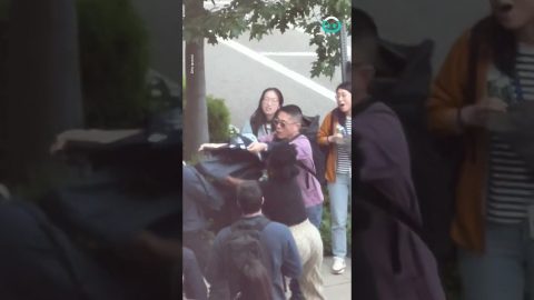 Bystanders save Baby Duckling || ViralHog