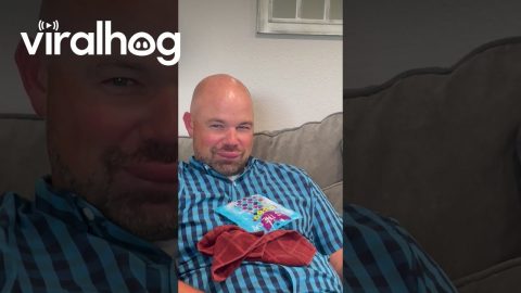 Husband Stung by a Wasp on His Lip || ViralHog