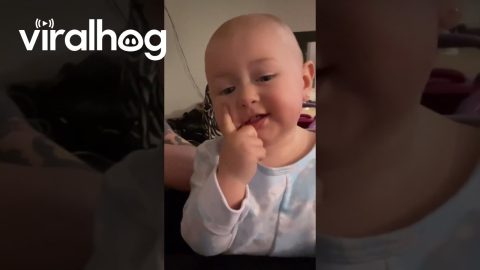 13-Month-Old Learning Her Face || ViralHog