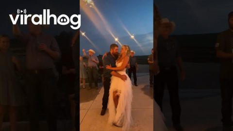 Groom Drops Bride Attempting Dip Kiss || ViralHog