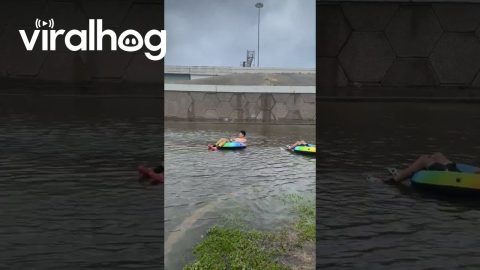 Making The Best Of Hurricane Beryl || ViralHog