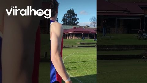 Emus Interrupt Game of Australian Football || ViralHog