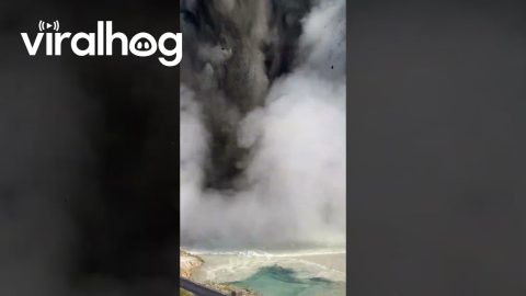 Biscuit Basin Hydrothermal Explosion || ViralHog