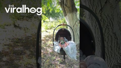 Baby Sleeps Under Garden Tree || ViralHog