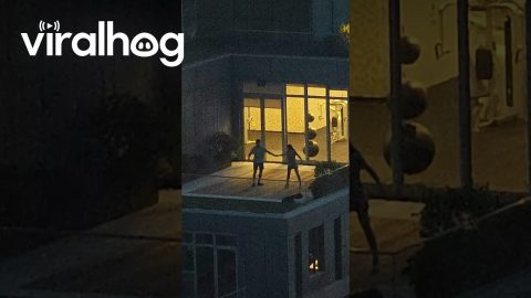 Couple Practice Wedding Dance On Brooklyn Balcony || ViralHog