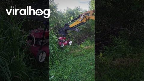 Laziness Is the Mother of Invention || ViralHog