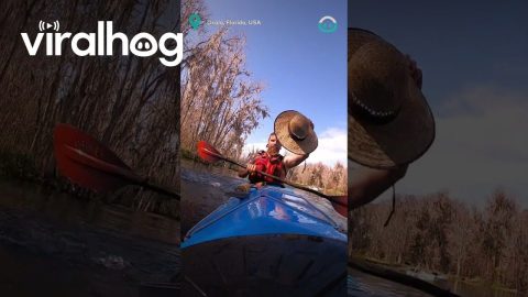Man Recovers Capsize and Saves His Hat || ViralHog