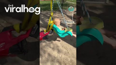 Dad Hacks Swing || ViralHog