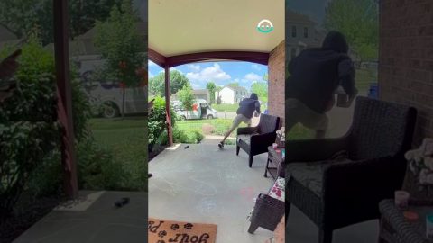 Porch Pirate Pinches Package || ViralHog