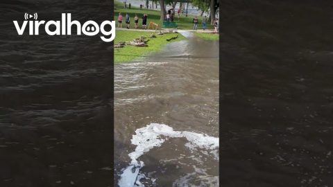 Falls Park Flooding in Sioux Falls, South Dakota || ViralHog