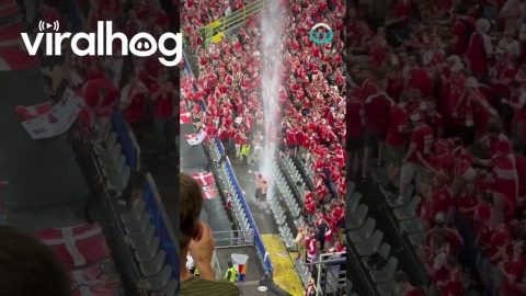 Danish Football Fans Dance In The Rain || ViralHog