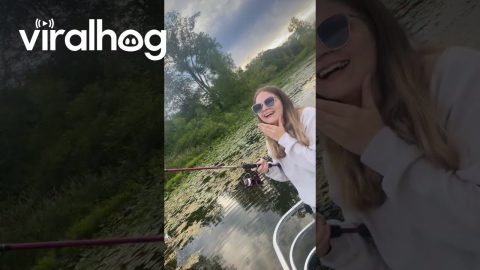 Bait Fish Gets Caught On Other Fisher's Bobber || ViralHog