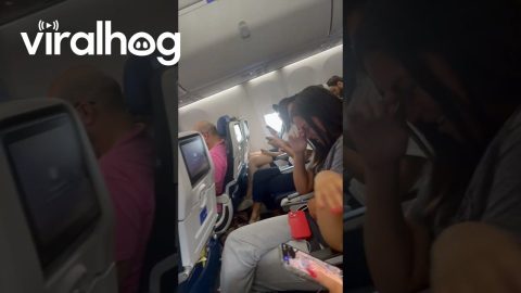 Airplane Needs 14 Volunteers To Disembark || ViralHog