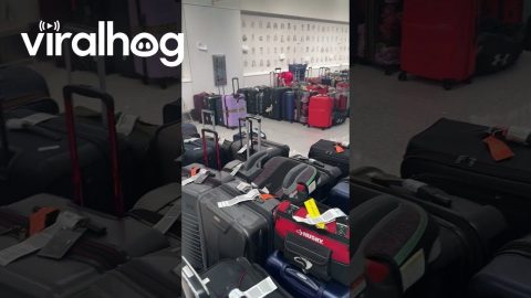 A Sea of Unclaimed Luggage || ViralHog