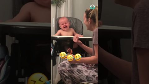 Baby finds Mom sneezing HILARIOUS || ViralHog