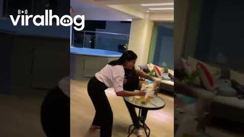 Girls Topple Table During Beer Race || ViralHog