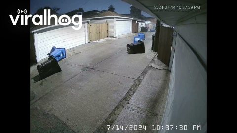 Chicago Storm Blows Garbage Cans Away || ViralHog