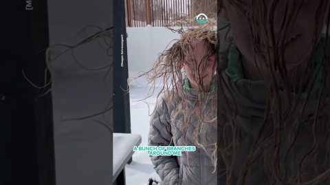 SUB-ZERO Degree Hairstyle || ViralHog