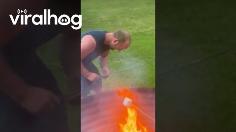 Real Nice Plate Falls Into Fire || ViralHog