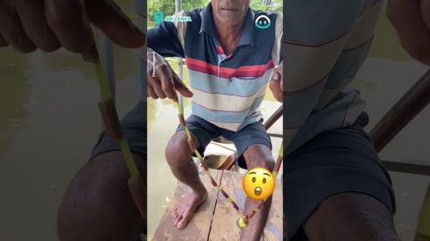 Local Craftsman Creates Jewelry From Water Lily || ViralHog