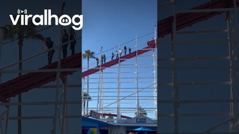 Emergency Evacuation on Santa Cruz Roller Coaster || ViralHog