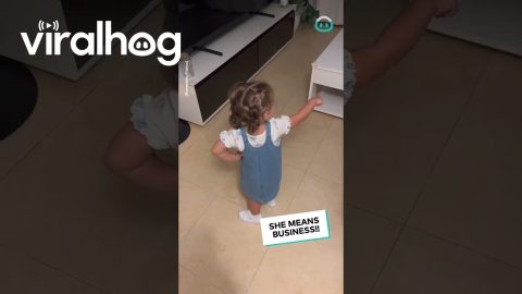 Little Girl Disciplines her Dog || ViralHog