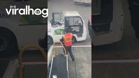 Raw Salmon Fillet Confuses Airport Employees || ViralHog