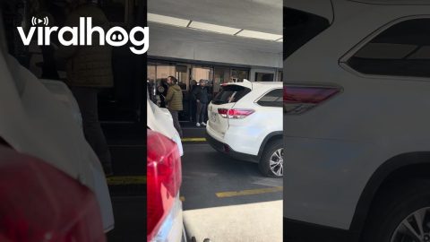 Staff Snaps Back At Irate Customer || ViralHog