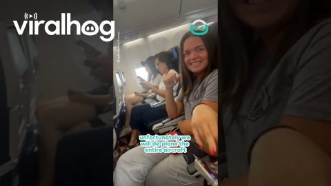 A Call For 14 People To Disembark Plane || ViralHog