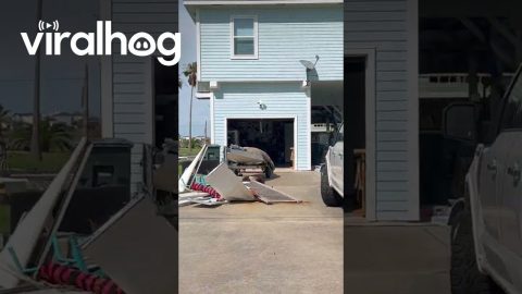 Hurricane Beryl Aftermath in Galveston, Texas || ViralHog
