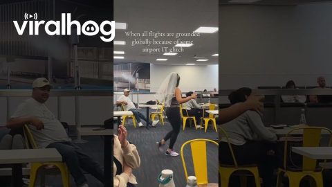 Global Airport Outage, Bachelorette Style || ViralHog