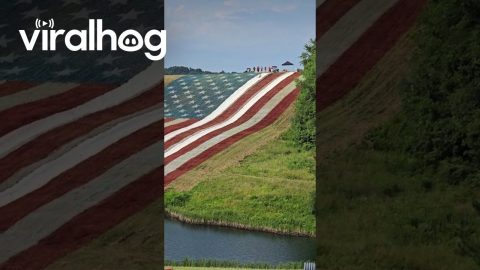 Giant American Flag Waterslide || ViralHog