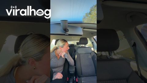 Surprising Best Friend After Living Abroad || ViralHog