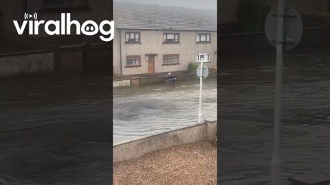 Fishing in a Flooded Road || ViralHog
