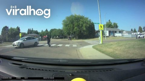 Street-Crossing Pedestrians Dodges Turning Vehicle || ViralHog