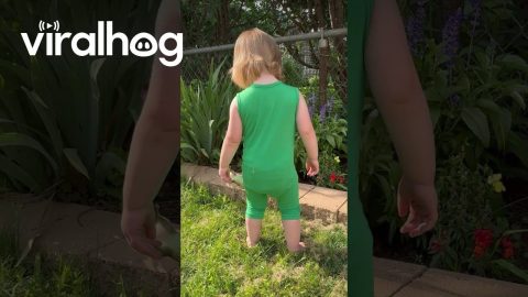 My Daughter Made Friends With a Chipmunk || ViralHog