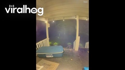 Porch Railing Gives Out || ViralHog