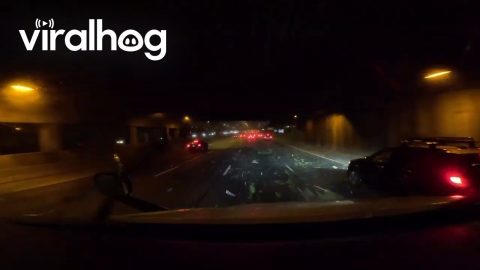 Severe Weather in Chicago || ViralHog