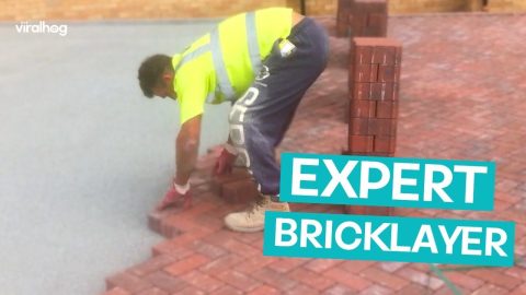 Bricklayer has Impressive Talent || ViralHog