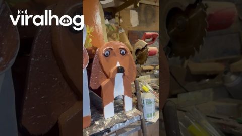 Funny DIY Animal Plant Pots || ViralHog