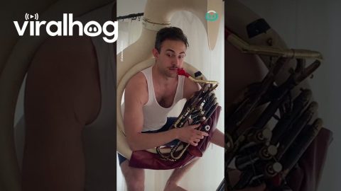 Super Talented Dual Bass and Tuba Playing || ViralHog