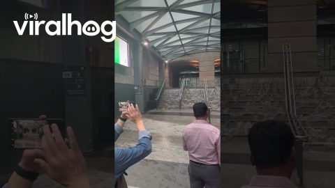 Flooding Stairs At Toronto's Union Station || ViralHog