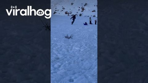 Dad Avoids Sledding Collision || ViralHog